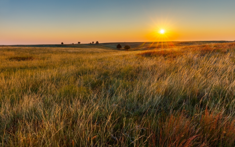 Biochar Factsheets and Application Guide Available from the Great Plains Biochar Initiative